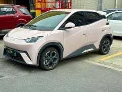 BYD Seagull 2025 305km Freedom Edition - ფოტო 3