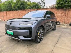 Denza BYD Denza N9 Flagship - ფოტო 1
