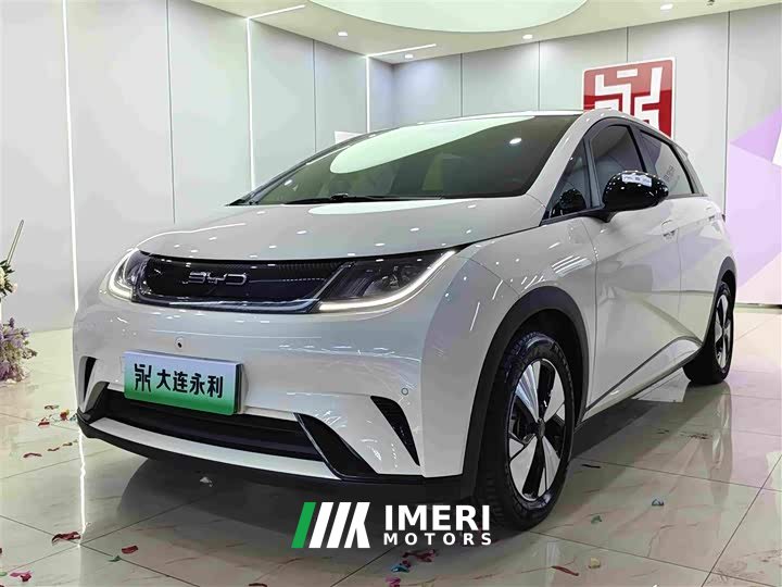 BYD Dolphin 420km Fashion Edition - ავტომობილი ჩინეთიდან