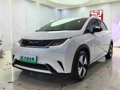 BYD Dolphin 420km Fashion Edition - ფოტო 1