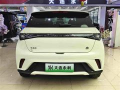 BYD Dolphin 420km Fashion Edition - ფოტო 14