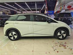 BYD Dolphin 420km Fashion Edition - ფოტო 16