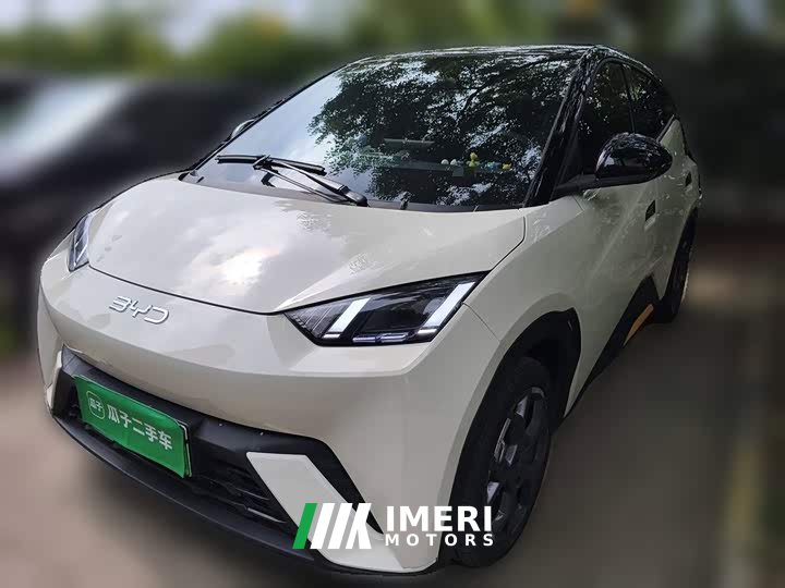 BYD Seagull 2025 405km Flying Edition - ავტომობილი ჩინეთიდან