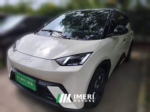 2024 BYD Seagull 2025 405km Flying Edition - ავტომობილი ჩინეთიდან