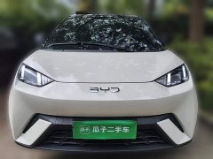 BYD Seagull 2025 405km Flying Edition - ფოტო 2