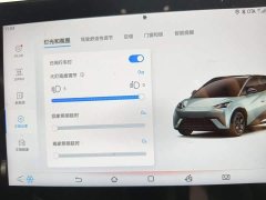 BYD Seagull 2025 405km Flying Edition - ფოტო 20