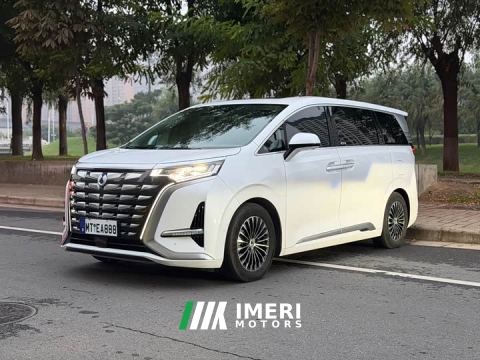 2024 Denza D9 DM-i 970 AWD Flagship