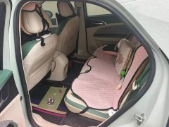 ORA Good Cat 2023 401km Standard Range Luxury LFP - ფოტო 11