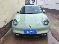 ORA Good Cat 2023 401km Standard Range Luxury LFP - ფოტო 2