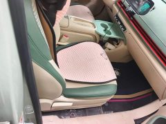 ORA Good Cat 2023 401km Standard Range Luxury LFP - ფოტო 8