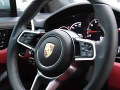 Porsche 2019 Cayenne 3.0T - ფოტო 9