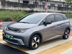 BYD Dolphin Glory Edition 420km Freedom Version - ფოტო 1