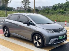 BYD Dolphin Glory Edition 420km Freedom Version - ფოტო 2