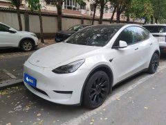 Tesla Model Y 2022 Rear-Wheel Drive - ფოტო 1