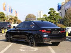 BMW 5 Series 530Li Premier M Sport Package - ფოტო 9