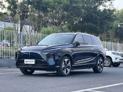 Great Wall WEY Blue Mountain Four-Wheel Drive Extended Range Version - ფოტო 1
