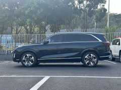 Great Wall WEY Blue Mountain Four-Wheel Drive Extended Range Version - ფოტო 2