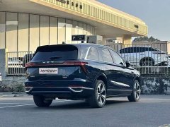 Great Wall WEY Blue Mountain Four-Wheel Drive Extended Range Version - ფოტო 4