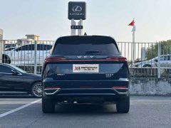 Great Wall WEY Blue Mountain Four-Wheel Drive Extended Range Version - ფოტო 5
