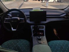 BYD Destroyer 05 Glory Edition DM-i 55KM Luxury - ფოტო 12