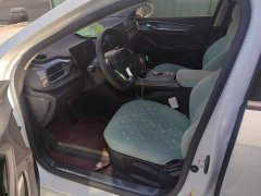 BYD Destroyer 05 Glory Edition DM-i 55KM Luxury - ფოტო 9
