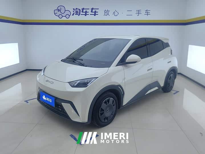 BYD Seagull Vitality Edition