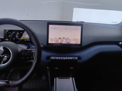 BYD Seagull 2023 Vitality Edition - ფოტო 13