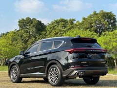 Jetour Jietu X70 PLUS 1.6T DCT Strong Edition 7-Seater - ფოტო 4