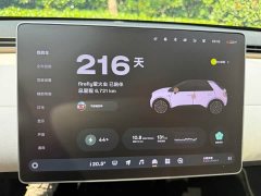 Nio Firefly Luminous Edition - ფოტო 14
