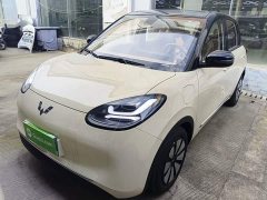 Wuling Binguo 2025 333km Joy Edition - ფოტო 1