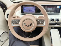 Wuling Binguo 2025 333km Joy Edition - ფოტო 10