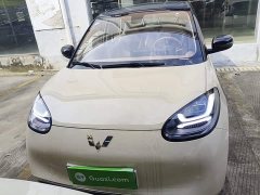 Wuling Binguo 2025 333km Joy Edition - ფოტო 2