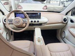 Wuling Binguo 2025 333km Joy Edition - ფოტო 9