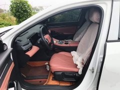 Geely Galaxy L6 EM-i 60km Launch Edition - ფოტო 14