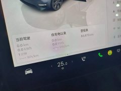 Tesla Model Y Rear-Wheel Drive - ფოტო 11