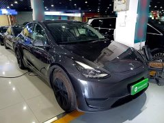 Tesla Model Y Rear-Wheel Drive - ფოტო 3