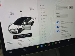 Tesla Model 3 Standard Range RWD Upgrade 3D6 - ფოტო 11