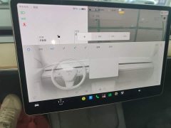 Tesla Model 3 Standard Range RWD Upgrade 3D6 - ფოტო 12