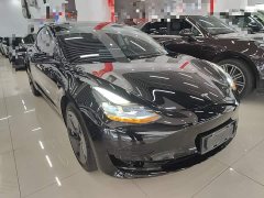 Tesla Model 3 Standard Range RWD Upgrade 3D6 - ფოტო 3