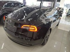 Tesla Model 3 Standard Range RWD Upgrade 3D6 - ფოტო 6