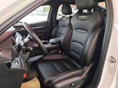 Geely Xingrui 2023 1.5T Diesel Fuyao Edition - ფოტო 14