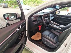 Geely Xingrui 2023 1.5T Diesel Fuyao Edition - ფოტო 15
