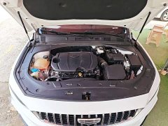 Geely Xingrui 2023 1.5T Diesel Fuyao Edition - ფოტო 19