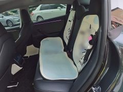 Tesla Model 3 Rear-Wheel Drive - ფოტო 16