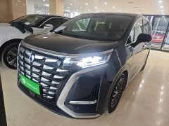 Denza BYD Denza D9 2023 DM-i 965 Premium Edition - ფოტო 1