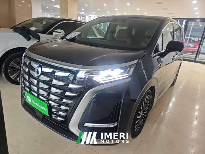Denza D9 DM-i 965 Premium Edition