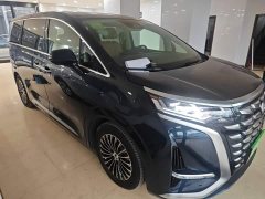 Denza BYD Denza D9 2023 DM-i 965 Premium Edition - ფოტო 3