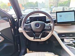BYD Song Pro New Energy DM-i 71KM Glory Edition Pilot - ფოტო 10