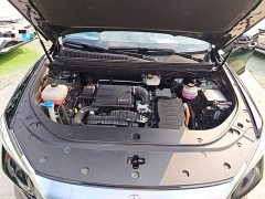 BYD Song Pro New Energy DM-i 71KM Glory Edition Pilot - ფოტო 19