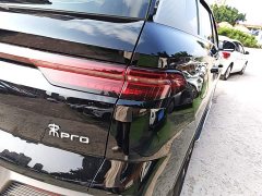 BYD Song Pro New Energy DM-i 71KM Glory Edition Pilot - ფოტო 7